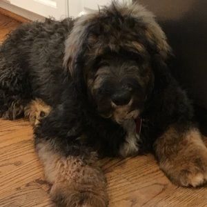 Meet your Posher, Tracey